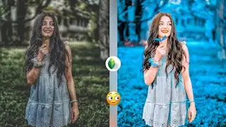 Snapseed Best Realistic Colour Effect Editing Tricks🔥 | Best Color Effect | New Snapseed Photo Edit