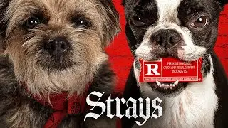 Strays - Official Trailer