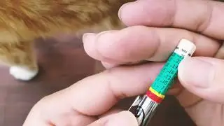 Know When To Replace Your Car Tires - Slime Tire Tread Depth Gauge Review