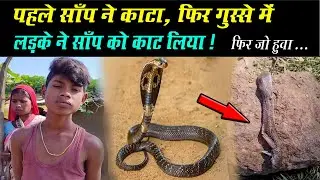 साँप ने काटा तो गुस्से में लड़के ने भी साँप को काट लिया,फिर जो हुवा | snake bites | Child Bites Snake