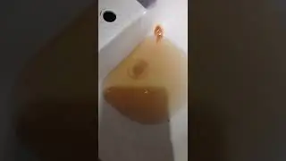Срочно!!! Вот такая водичка у нас в я Череповце.