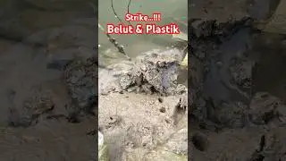 Strike Belut & Plastik//Jangan Buang Sampah Di Sungai