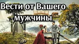 Вести от Вашего мужчины 