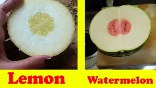 27 Times People Absolutely Lost The Food Lottery