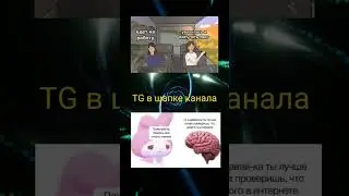 тгк в шапке канала/ 