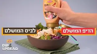 DIP & SPREAD ספייסי איולי