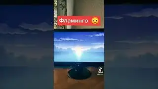 Дон Фламинго
