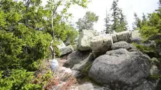DSC 0222