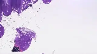 Petals of Tulips Fall in Water 2 | Videohive Project Templates