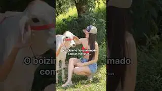 O boizinho ficou animado 