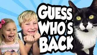 Kids Cry Tears of Joy After Finding MIssing Cat