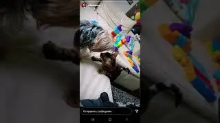 🐕‍🦺Лина и Артур🐈‍⬛_инст.Витаса, 2.2021
