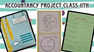 Accountancy Project Class 11th | Financial Statements of a sole proprietor |Best Project for class11