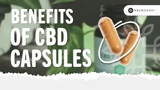 What Are The Benefits Of CBD Capsules?