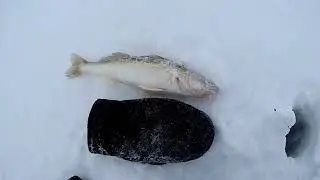 Ночная рыбалка на судака. Рыбалка с комфортом.
