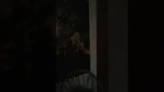 Ruido extraño en mi habitación.