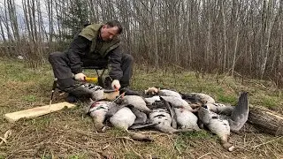 Охота на гуся с Кетнером #12