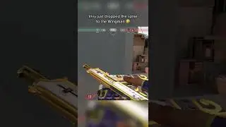 Invy is cooking 🫡 