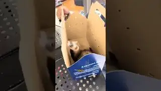 Ele cometeu um ERRO! 