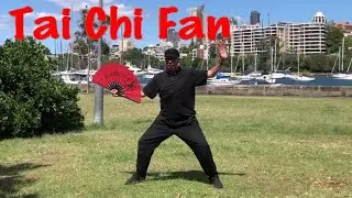 Tai Chi Fan 52 Movements