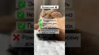 КАКОЙ НАПОЛНИТЕЛЬ ДЛЯ КОШКИ ЛУЧШЕ? 