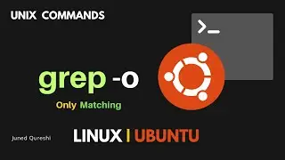Pattern Search & Print Only the Matching String Instead of Entire Line using linux grep | grep cmd