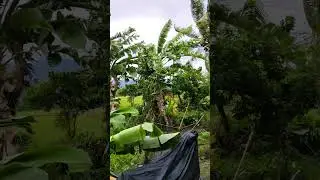 Stay safe everyone