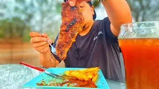 Steak And Homemade Seasoned Wedge Fries Outdoors Mukbang!