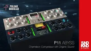 P11 Abyss compressor by Pulsar Modular, sounds great...!
