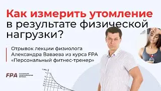 Как измерить утомление в результате физической нагрузки? | Ассоциация Профессионалов Фитнеса (FPA)