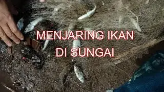 Menjaring Ikan di Sungai