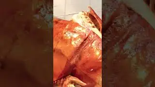 Pork lechon cebu #shorts #porklechon #food