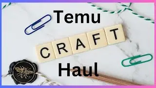 Temu haul. I have goodies, do you want to see? #temuhaul