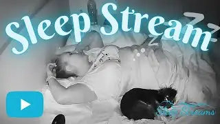 Sleep/Snore Stream with Puppies. The one with the Spider!