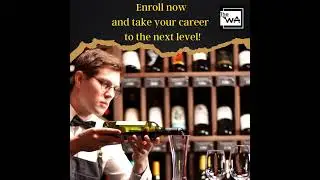 The Junior Sommelier Course now available at Udemi.com