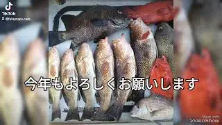 2024年　謹賀新年