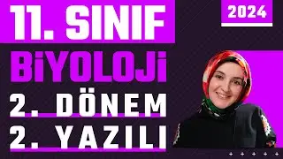 11.Sınıf Biyoloji 2.Dönem 2.Yazılı | 2024 #yazılı #biyoloji