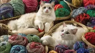 Вязания спицами и крючком - схемы,узоры,описание