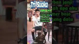 LAGU TERBAIK TRI SUAKA,FULL ALBUM 2020