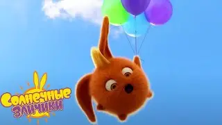 ПОДНИМАТЬСЯ! - Солнечные зайчики | Сборник мультфильмов для детей