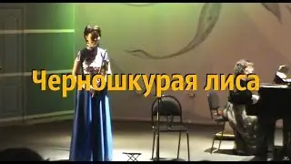 Черношкурая лиса