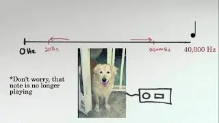 Sound Properties (Amplitude, Period, Frequency, Wavelength) (Hindi)