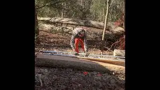 DIY Sawmill Cutting Hardwood Boards with chainsaw💪😎