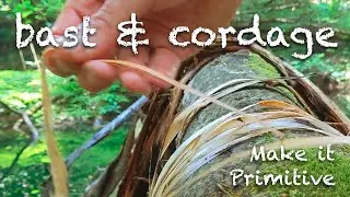Making linden bast and cordage