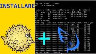 Installare OpenBSD + LXQT