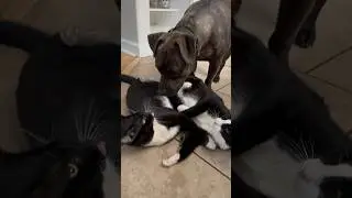 Наши ♥️♥️♥️