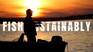 The Importance of Sustainably Fishing