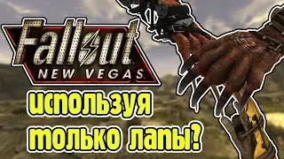 🤝  -  стрим #203