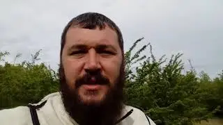 Вывод маток ! Двухматочная система, идеальный вариант