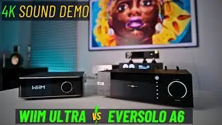 Wimm Ultra & Eversolo DMP-A6 Test: Which Streamer Sounds Better?